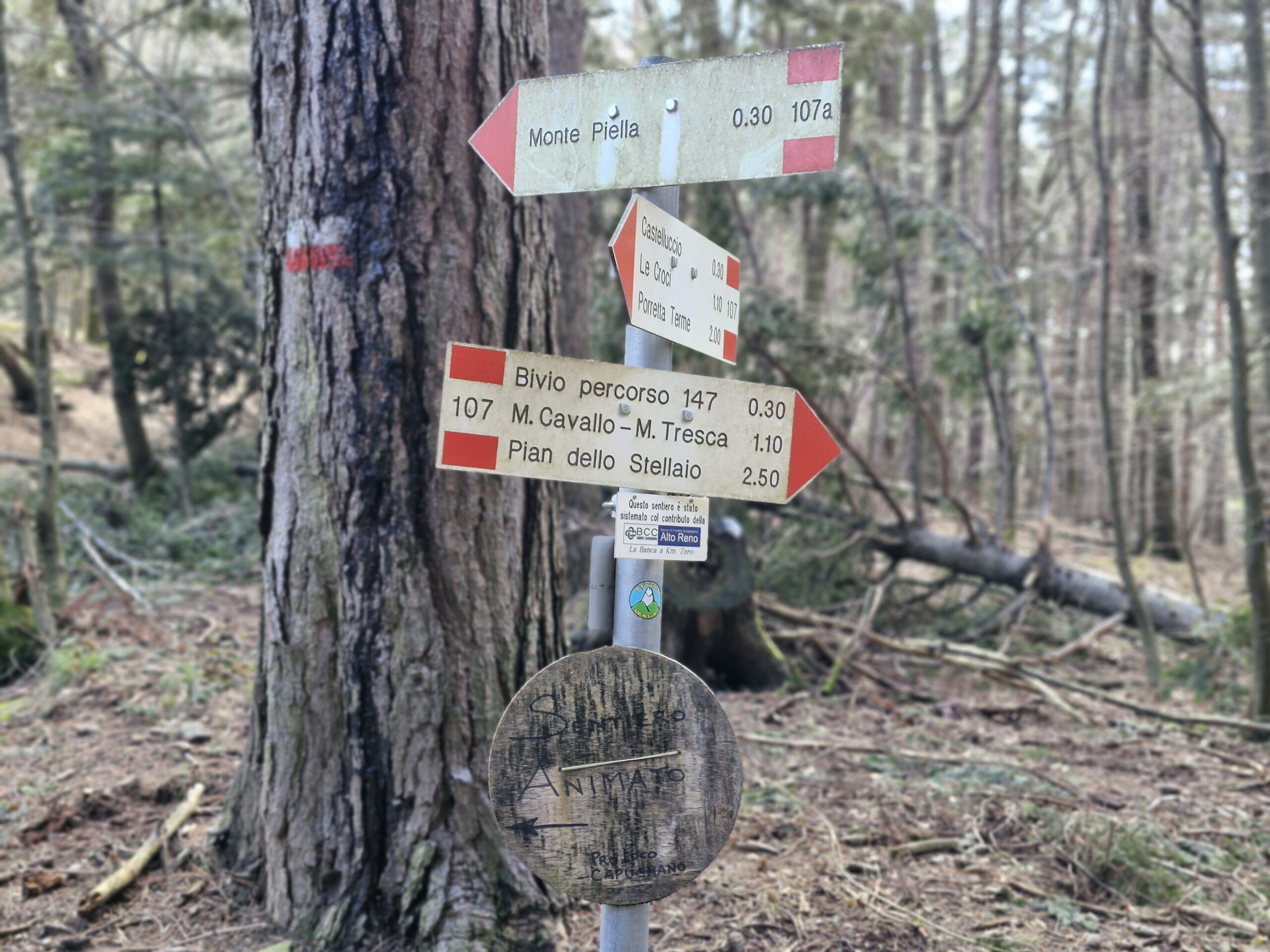 Cartelli sentieristici posti lungo il percorso di trekking per i migliori consigli e percorsi di trekking